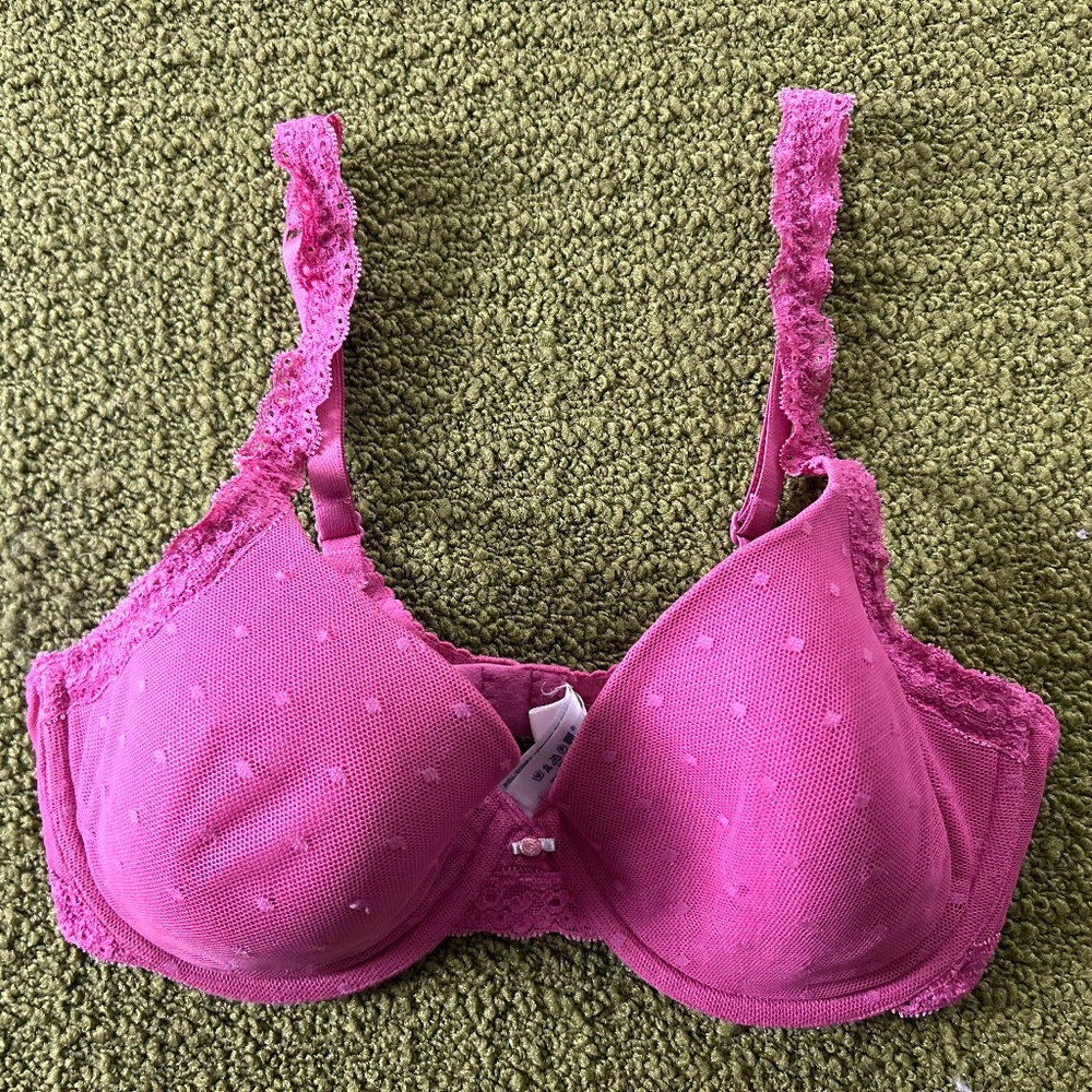 Gap Body Lace Trimmed Mesh Covered T-Shirt Underwire Bra Mauve 34D